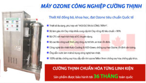 ung dung May tao Ozone cong nghiep Z 190S